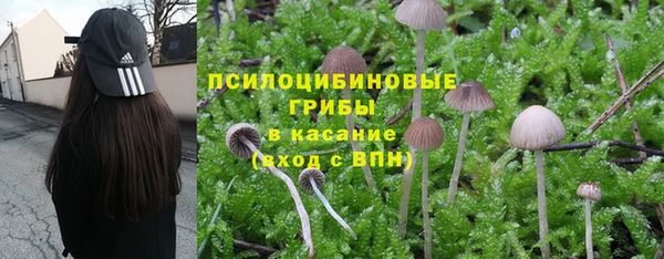 амф Богданович