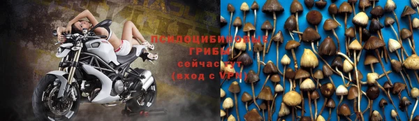 амф Богданович