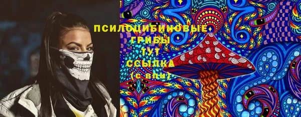 2c-b Болотное